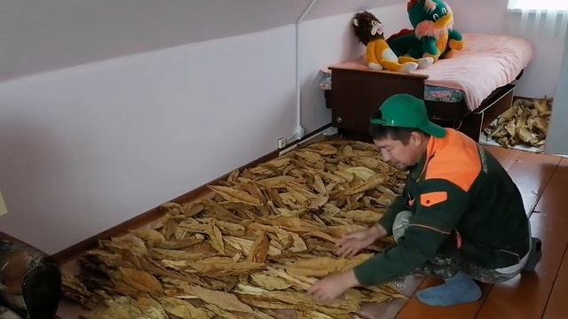 Вентиляция погреба. Н - образный дефлектор рак из канализационных труб. смотреть онлайн