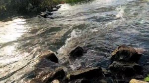 Шум горной реки  для крепкого и здорового сна. Расслабляющие звуки природы. Релакс