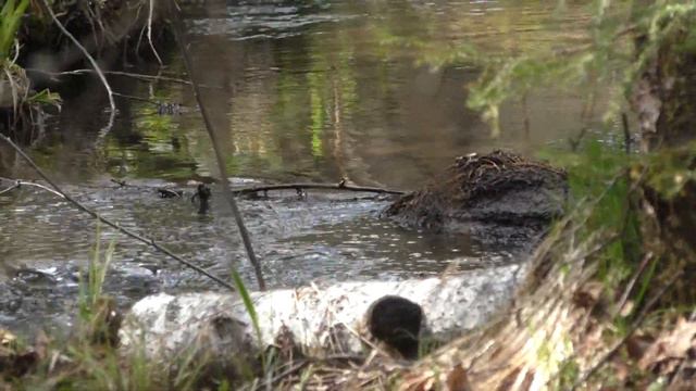 Марине Артемьевой от Лены Жемчужины смотреть онлайн