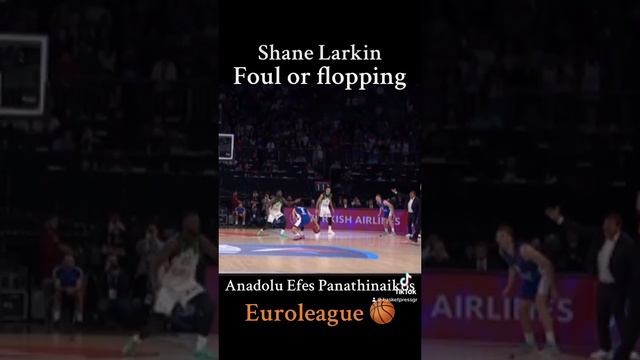 Shane Larkin foul or flopping? #anadoluefes #panathinaikosbc #euroleague #foryou