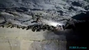 Оливинские каменоломни / Крым / Керчь /