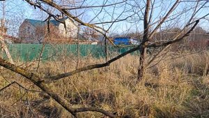 Продается участок 12 соток ИЖС, деревня Ясенки, территория Москвы. Электричество, Газ.