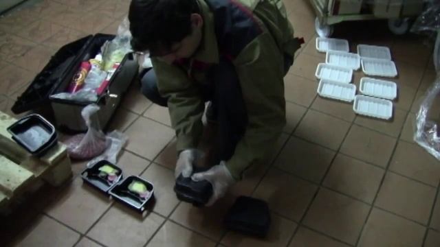 Дератизация истребление грызунов