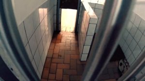 ПРИЮТ ДЛЯ ЖИВОТНЫХ В ГЕРМАНИИ. КАК ВСЕ УСТРОЕНО. БЕЗДОМНЫЕ КОШКИ, СОБАКИ.