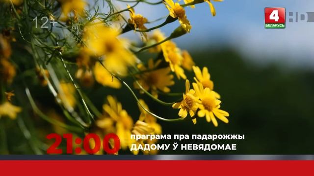 Анонс. Дадому ў невядомае. Мосар (23.09.2022) смотреть онлайн