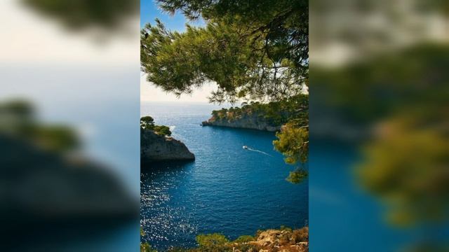 ГРОМКИЕ СЛОВА О ВЫСОКОЙ МОДЕ - КАК ТИРАНИЯ МОДЫ ТОРГАШЕЙ СО ВСЕМИРНОЙ ЯРМАРКИ.. смотреть онлайн