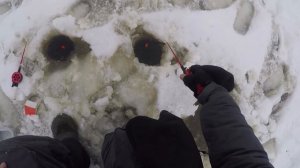 Первый лед на Рыбинском вдхр, река Ламь
