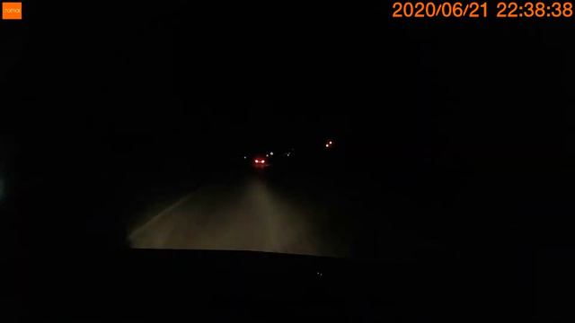 Как нужно выгуливать Собак 