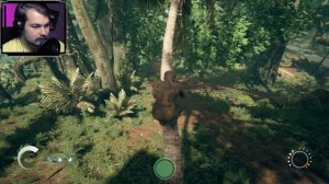 Ancestors The Humankind Odyssey ● Прохождение #29 "Вековое Дерево"