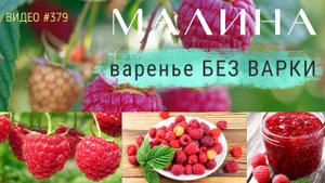 #379 МАЛИНА | полезные свойства | варенье без варки