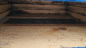 Первые работы на пасеке