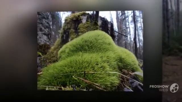 Первое наше видео. смотреть онлайн