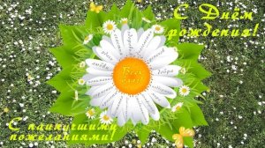 Волшебная ромашка для именинницы. Тифлооткрытка