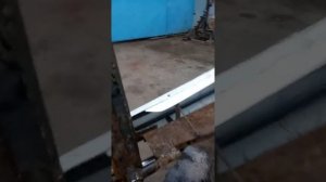 Роторная косилка своими руками... на т 25.
