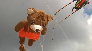 Фестиваль воздушных змеев в Петербурге