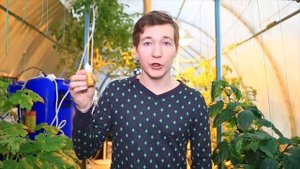 №18 Удобрения HESI: виды, характеристики и раход