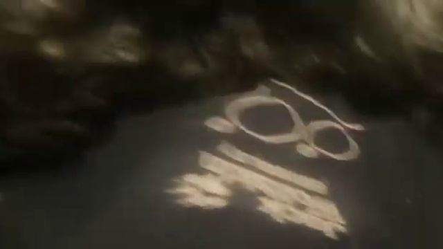 Судороги у собаки (генерализованный эпилептический приступ) // generalized epileptic seizure смотреть онлайн