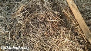 Подкормочный узел для клубники. Инжектор Вентури. Belklubnika.by.mp4