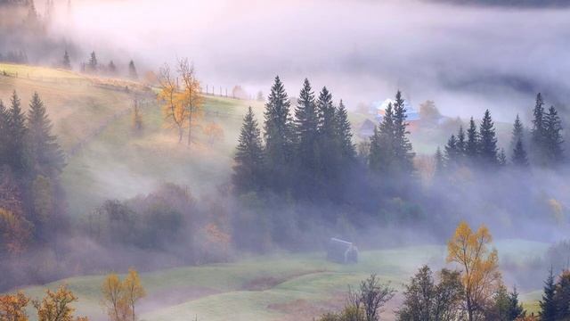 РИЧАРД КЛАЙДЕРМАН. МУЗЫКА ДЛЯ ДУШИ. смотреть онлайн