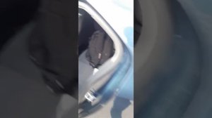 фольксваген джета 2006 личный опыт и продажа