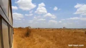 Дорога Момбаса-Моши. Пыльные дороги Африки. Заброшенная ЖД колея (Mombasa-Moshi road)