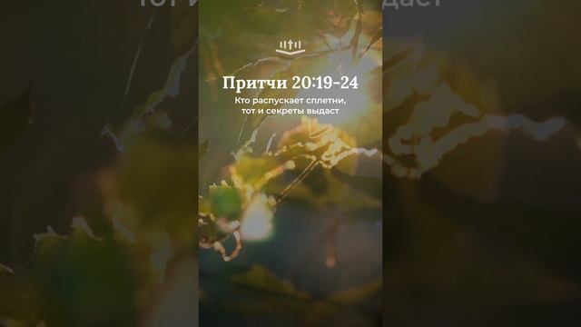 Притчи 20:19-24 #библия #притчи