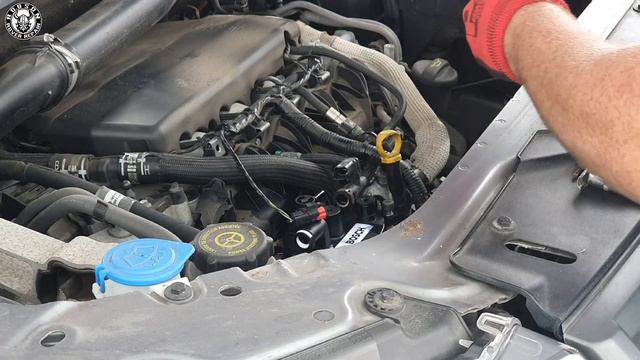 Freelander 2 service guide - Complete diesel walkthrough and the essential tools to make it simple!