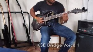Fishman Fluence Killswitch Engage vs Seymour Duncan EMTY Mick Thomson Blackouts