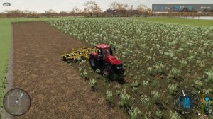 КАРТОФЕЛЬ или СВЕКЛА? Что приносит больше денег в Farming Simulator 22