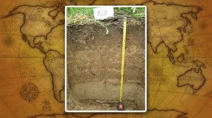 Основные типы почв России