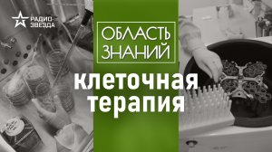 Онкология, ЭКО, слепота: в чём преимущество лечения клетками? Лекция биолога Сергея Киселёва