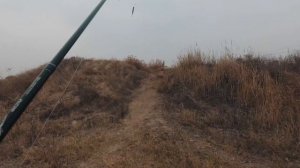 Рыбалка 21 октября в Обуховке (Ростовская область)