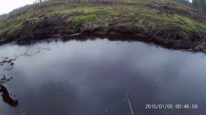 владимирский тупик