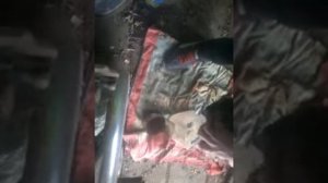 Промывка двигателя бензином