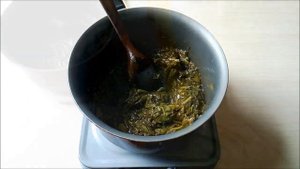 Щавель -  хранение на зиму