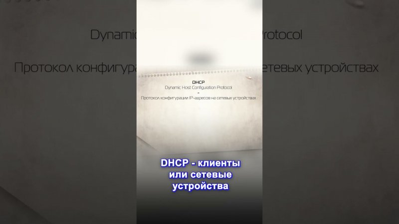 DHCP и DNS: Ключевые инструменты сетевой связи #DHCP #DNS #сети