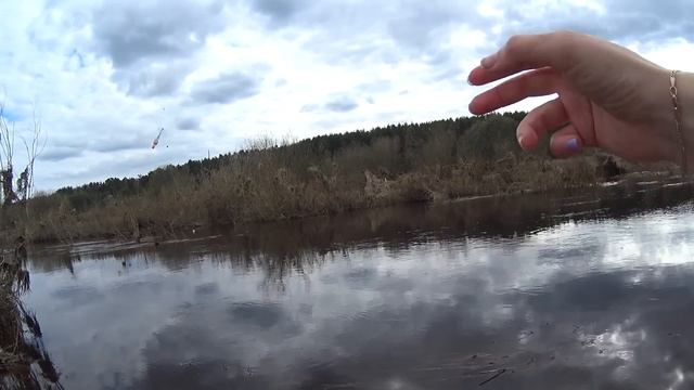 ТАК ДОЛЖНО КЛЕВАТЬ ВСЕГДА. РЫБАЛКА на ДОНКУ и ПОПЛАВОК. Russian fishing