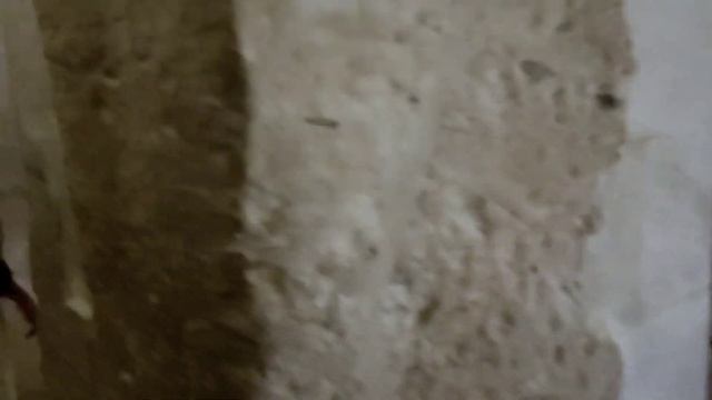Excursion in Luxor with English speaking guide. Луксор. Долина царей. Археологические раскопки.