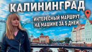 Калининград! Простой и интересный маршрут по городу и области на 5 дней.