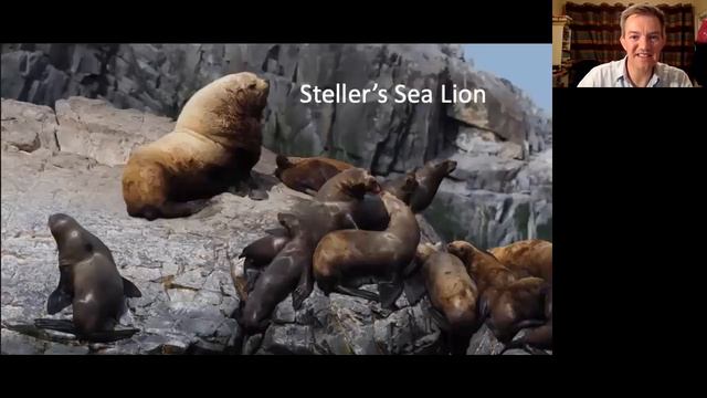 Wrangel and Beringia by Dan Brown смотреть онлайн