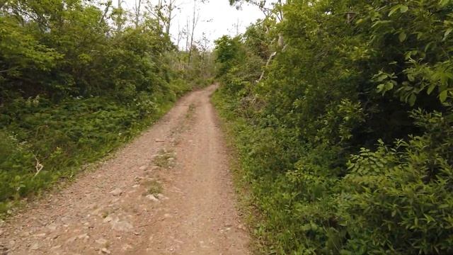 Прогулка на Океанский хребет, Шамора, Приморский край