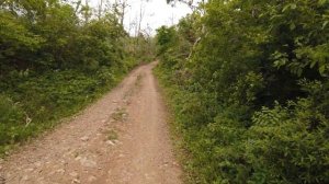 Прогулка на Океанский хребет, Шамора, Приморский край