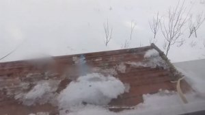 Отпугиватель "Электрошок" для голубей