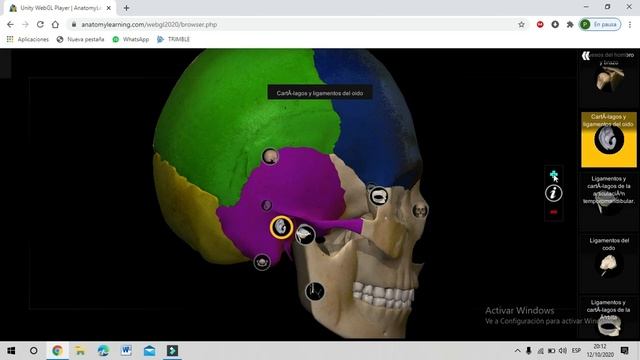Como usar Anatomy Learning Tutorial - Anatomía 3d смотреть онлайн