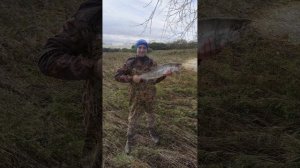 Рыбалка 2022, кета, пластун