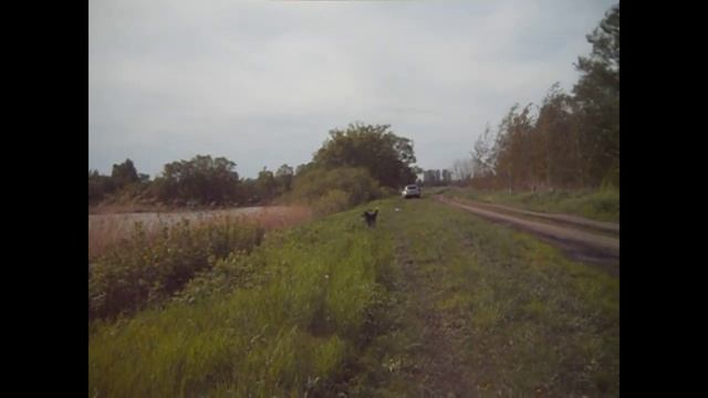 Наш день в деревне. Рыбалка на пруду. В память моему другу