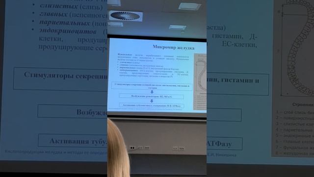 Макромир желудка
