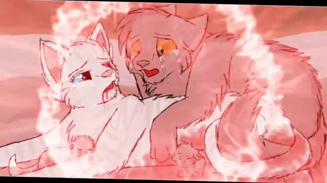 коты воители 🗡️🍃КРУТОБОК И СЕРЕБРЯНКА🗡️🍃