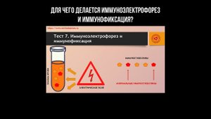 Для чего делается иммуноэлектрофорез и иммунофиксация?