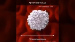БОГ ТВОРЕЦ вселенной - от самой маленькой частицы до самой великой.